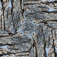 Wet rock (006)