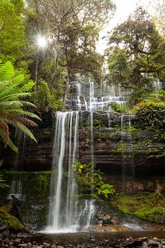 Russell Falls au coucher du soleil - Cascade majestueuse dans la forêt tropicale de Tasmanie sur Jiri Viehmann