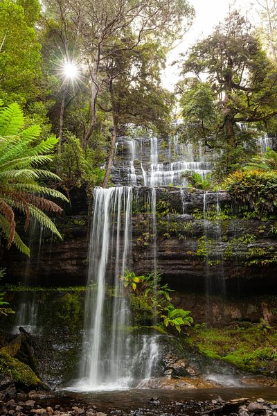 Russell Falls zum Sonnenuntergang - Majestätischer Wasserfall im tasmanischen Regenwald von Jiri Viehmann