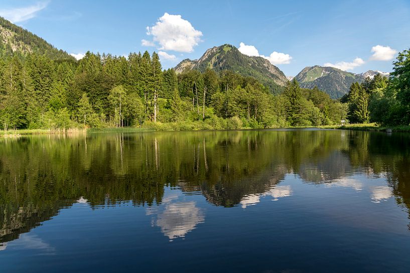 Moor pond near Oberstdorf, Upper Allgäu by Peter Schickert