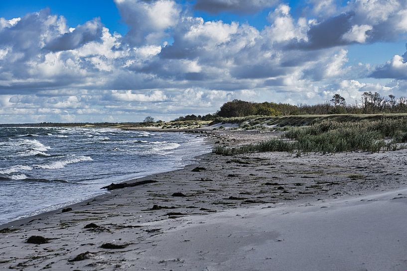 On the sandy beach of the Baltic Sea coast by Martin Köbsch