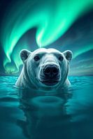 IJsbeer in de Noordelijke IJszee met aurora borealis
