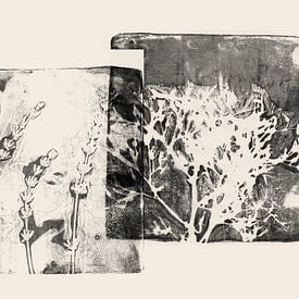 Minimalist botanical art — organic plant shapes by Dina Dankers