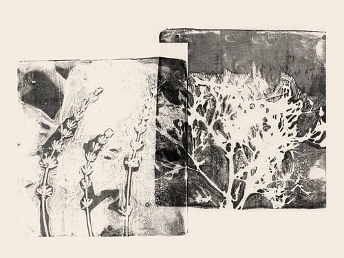 Minimalist botanical art — organic plant shapes by Dina Dankers