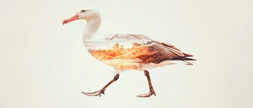 Ontspannen eendenfoto van Poster Art Shop