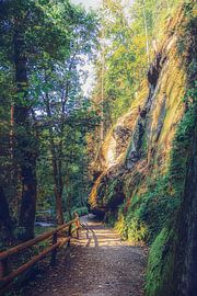 Kirnitzschtal Klamm Wanderung zwischen Felsen und Sandsteinen von Jakob Baranowski - Photography - Video - Photoshop