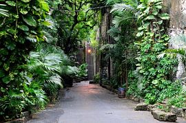 Die Treppe der Königin