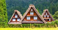Dorp gelegen in Gifu Prefectuur, Japan van Yevgen Belich thumbnail