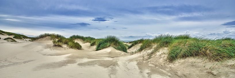 Dune landscape in autumn by eric van der eijk