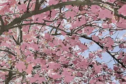 Under Pink Sakura Blossoms - Digital Impressionist Painting