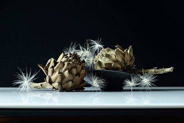 Still Life Dried Artichoke by Monique van Velzen