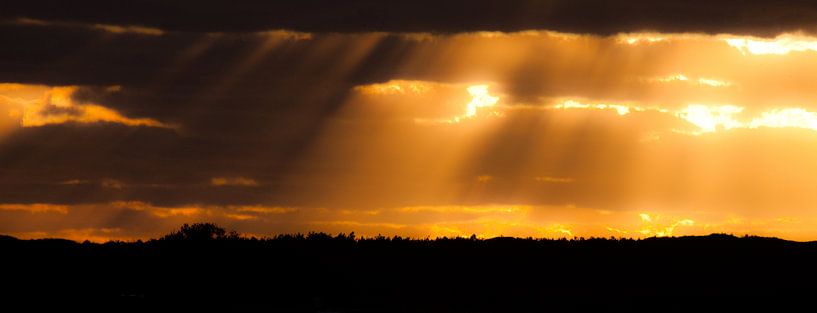 They are coming... by Dennis Claessens