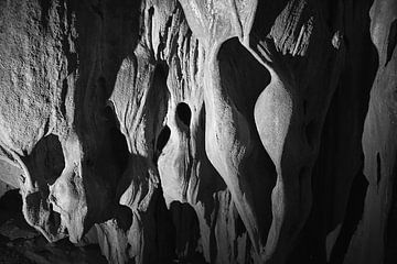 aliens in Vietnamese cave in Phong Nha-Ke Bang National Park by Karel Ham