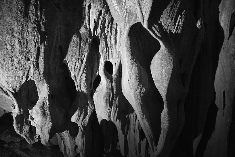 étrangers dans une grotte vietnamienne dans le parc national de Phong Nha-Ke Bang par Karel Ham