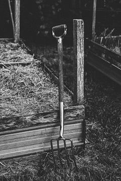 Farm tools left behind in kitchen garden by Ken Tempelers