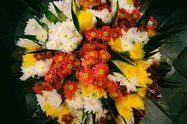 Magnificent yellow and red flowers - Floral bouquet by NZME Photography