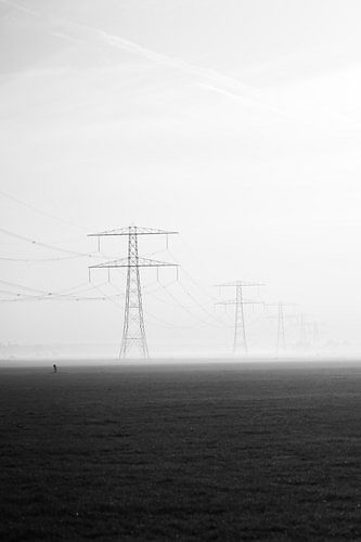 L'homme et la nature