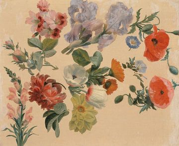 Jacques-Laurent Agasse~Studien über Sommerblumen