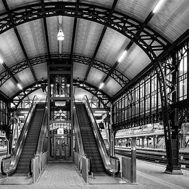 Gare de Den Bosch sur Wanda Michielsen