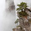 Mystieke bergformaties van Huangshan sur Simon Hazenberg