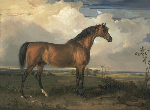 Eagle, a Celebrated Stallion, James Ward