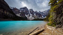 Der Lake Moraine in den Rocky Mountains in Kanada von Roland Brack