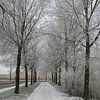 Winter in Leeuwarden van Richard Brinkman