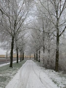 L'hiver à Leeuwarden sur Richard Brinkman