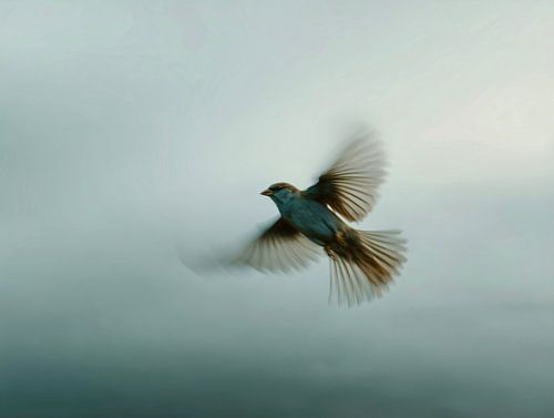 Flug - Der Spatz am Himmel