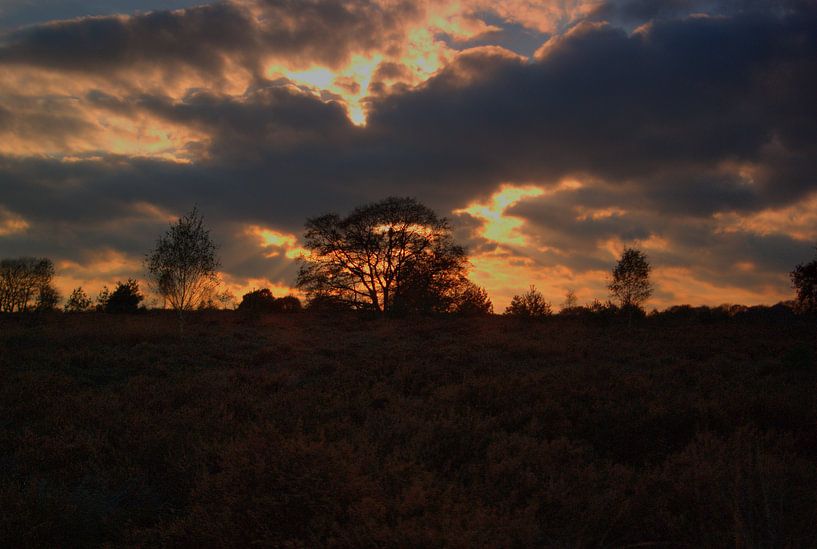 Sallandse Heuvelrug bij Nijverdal par David Klumperman