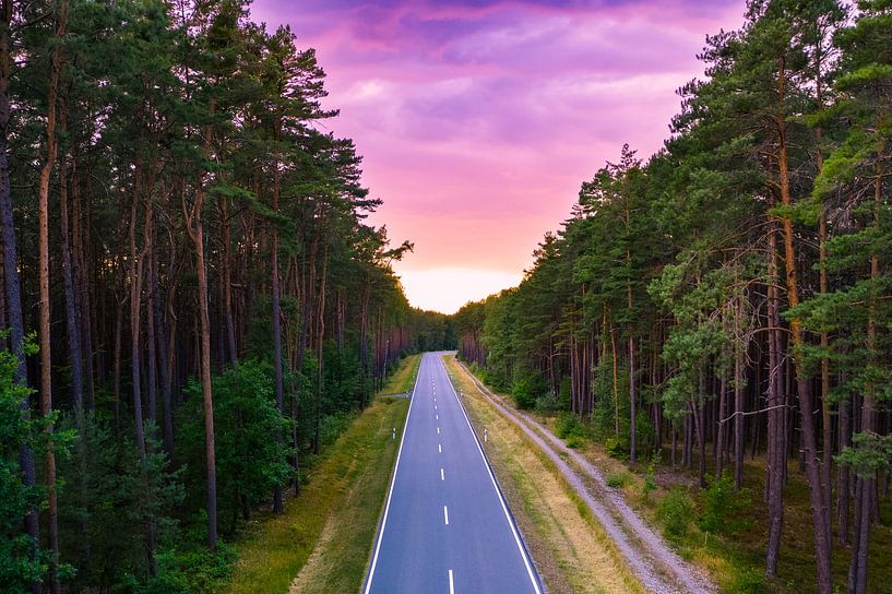 Forest road at sunset by Raphotography