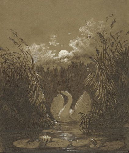 Een zwaan onder het riet, bij maanlicht, Carl Gustav Carus...