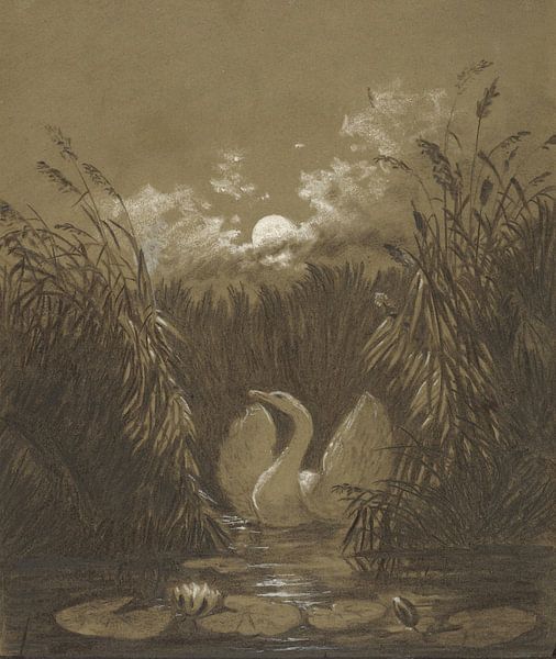 A Swan Among the Reeds, by Moonlight, Carl Gustav Carus by Masterful Masters