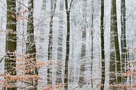 Winterwonderland van Laura Vink thumbnail