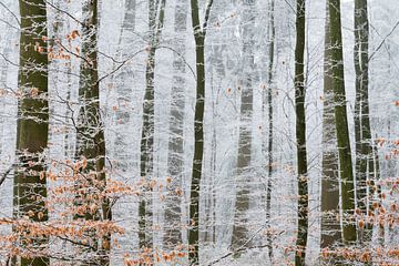 Winterwunderland von Laura Vink