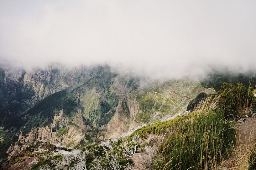 Nebliger Blick auf den Berg Madeira von Dian Schuurkamp