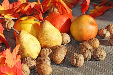 Appels, peren en walnoten op een rustieke houten tafel als herfstmotief van Udo Herrmann