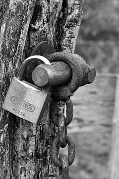 Onwrikbare beveiliging van Dyan Gemser