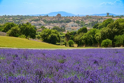 Uitzicht op Valensole met bloeiende lavendel in de Provence