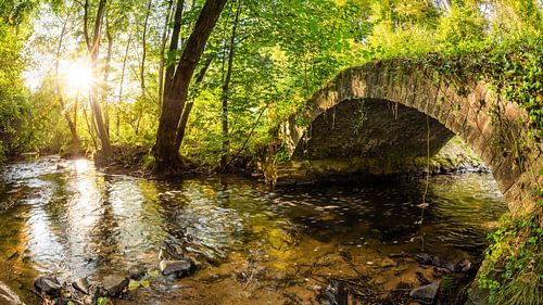 Wald mit Bach und alter Brücke