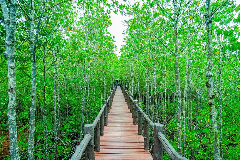 A bridge in Thailand by Barbara Riedel