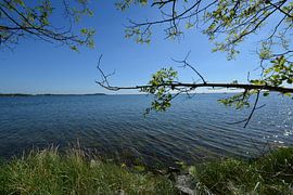 Wanderung durch der Goor, Lauterbach auf Rügen