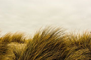 Zee Nieuwpoort van Stef De Vos