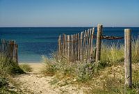 Der schöne Weg zum Meer