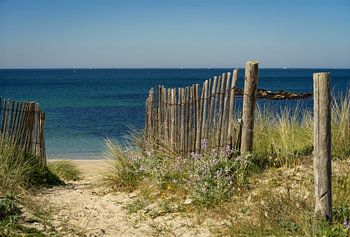 Le beau chemin vers la mer