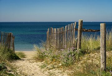 Der schöne Weg zum Meer von Angelika Beuck