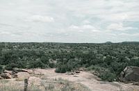 The beginning of a green nature reserve