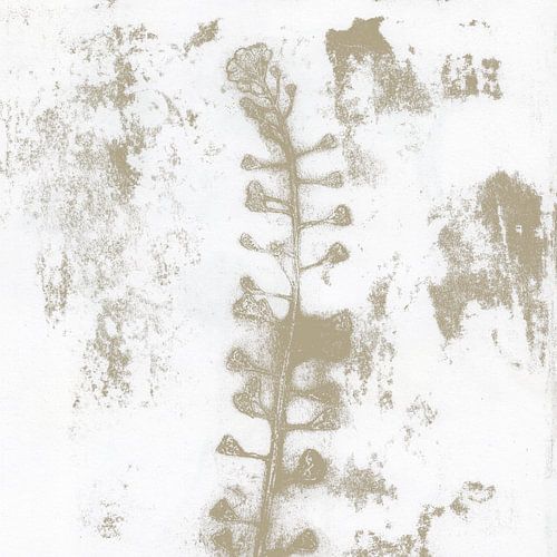 Neutral botanical. Flower in beige on white by Dina Dankers