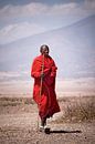 Masaï in de Serengeti van Paul Jespers thumbnail