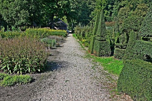 Garten mit Koniferen